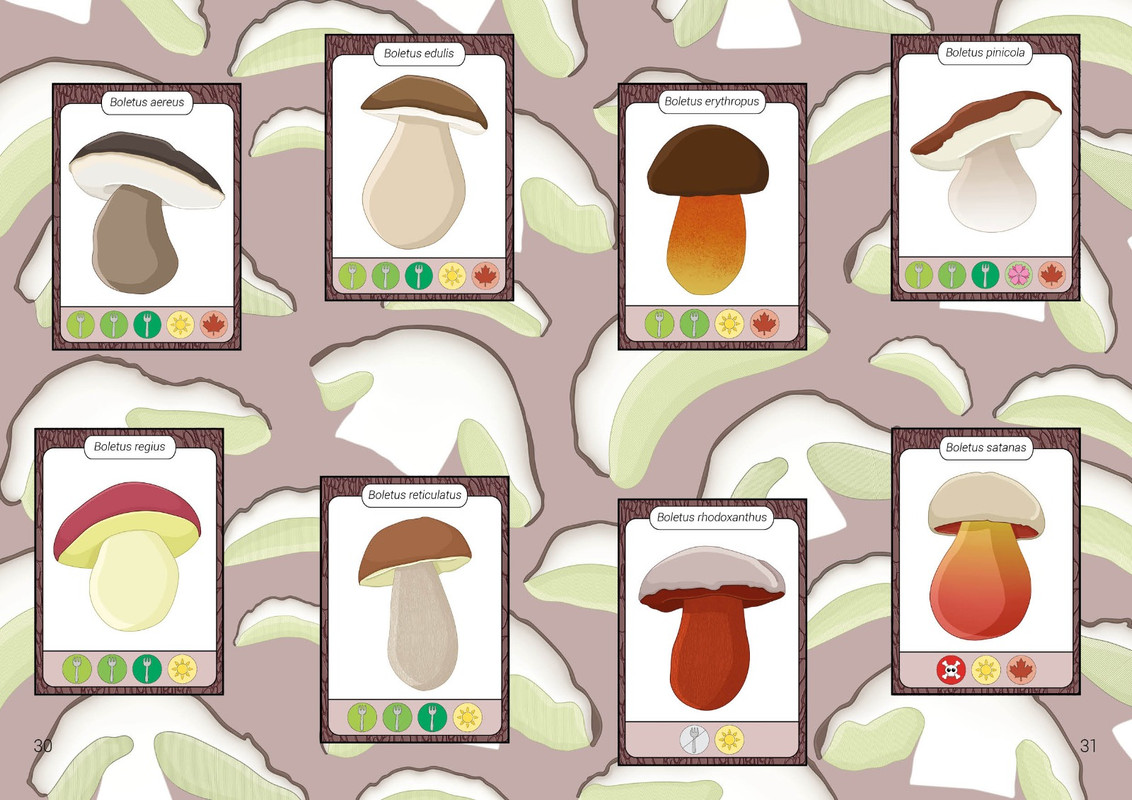 WhatsApp Image 2022-12-03 at 13.39.43 (3)