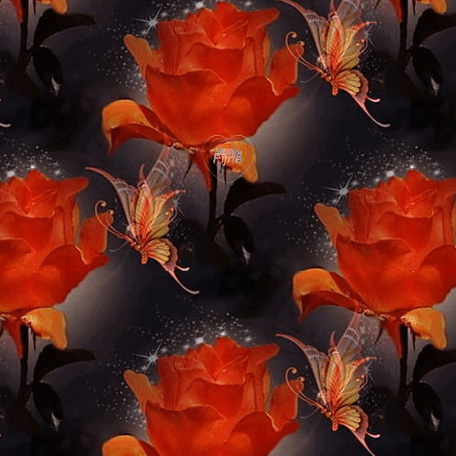 An den Beitrag angehängtes Bild: https://i.postimg.cc/KjNs6Wpn/Avond.gif