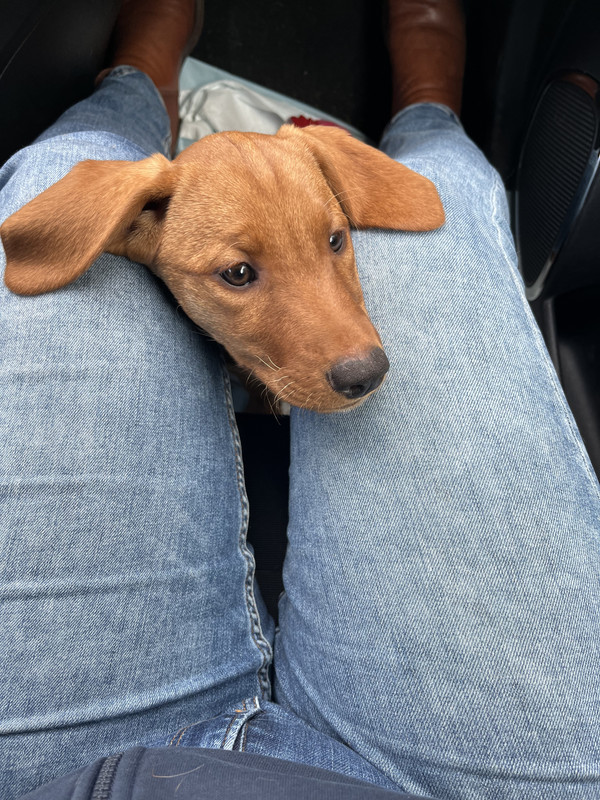 E6C8D86C-5DB0-4587-A57C-6E6670750528