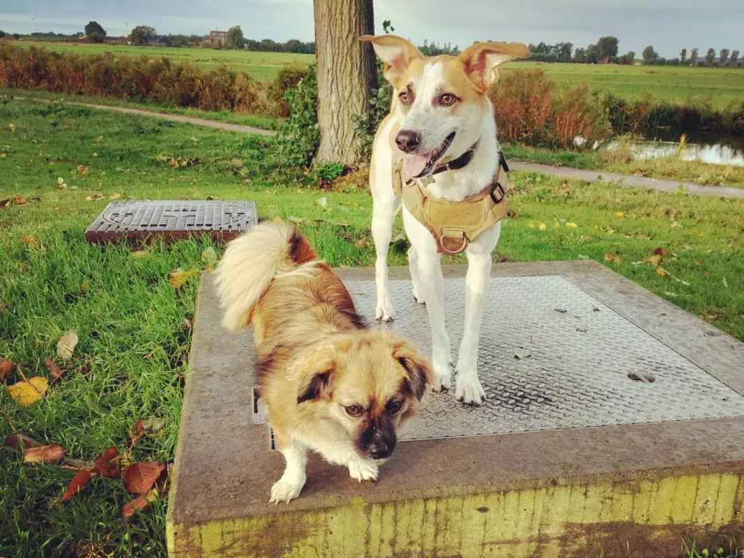 IMG_20220927_102421_280