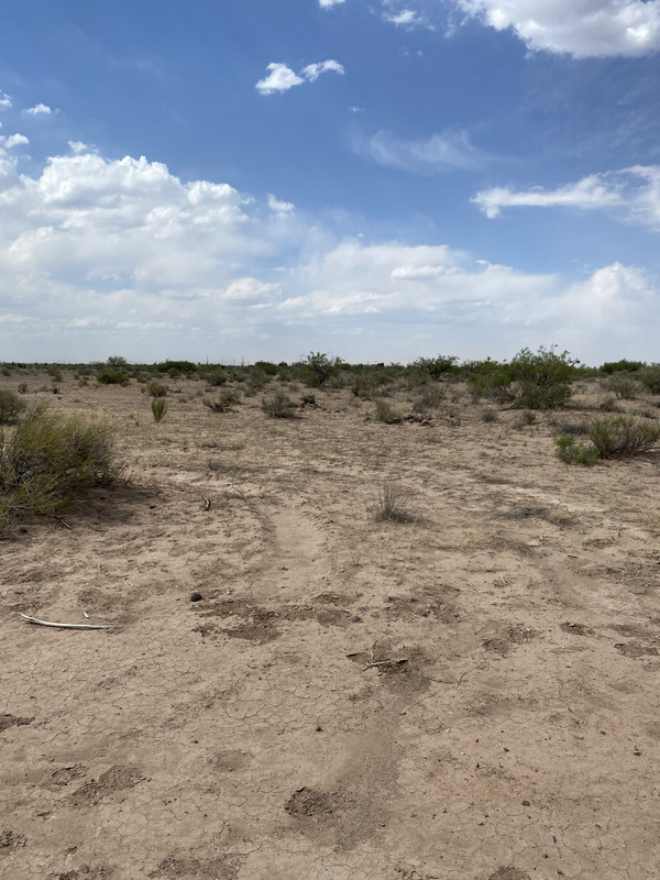 "Prime 4.8 Acre Vacant Lot Offers Limitless Potential South of Deming, NM"