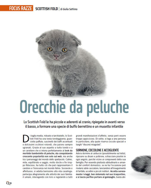 QuattroZampe Feb 2025 (9)