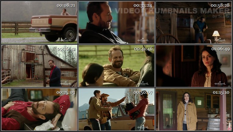 Love In Paradise 2016 720p WEB x264 [i_c].mkv