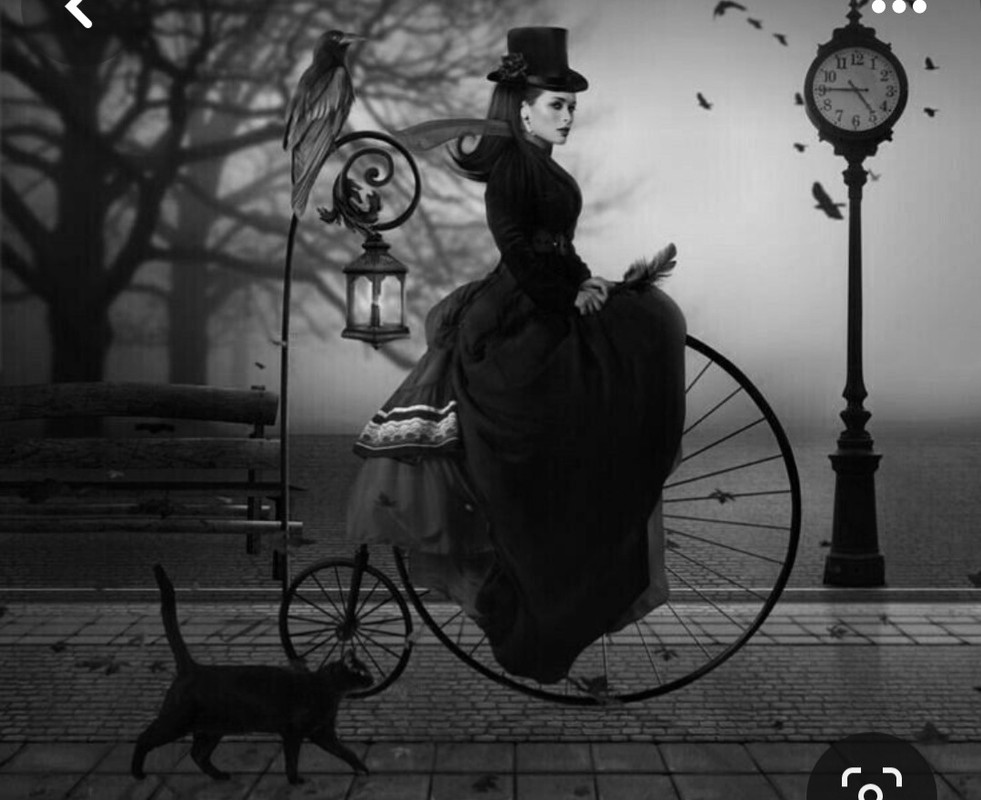 Screenshot_20231213_205821_Pinterest