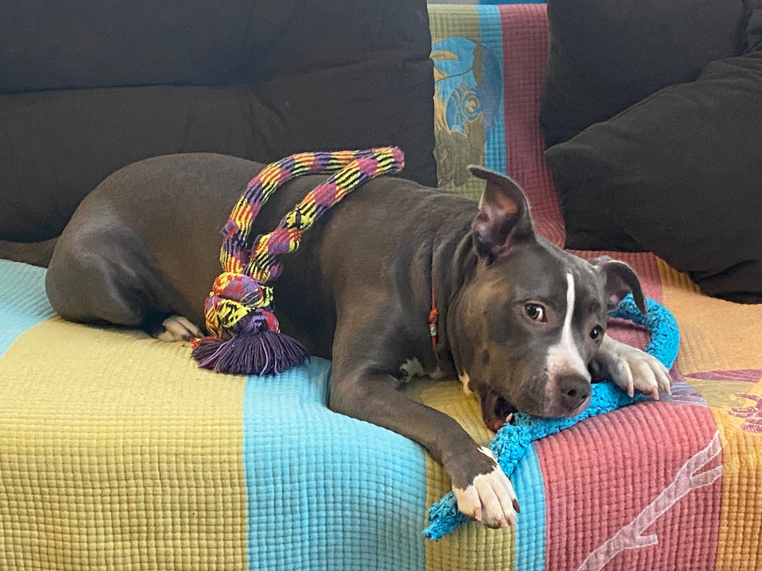 62AFA946-B13A-49A2-AA6D-980F08D7FD2F