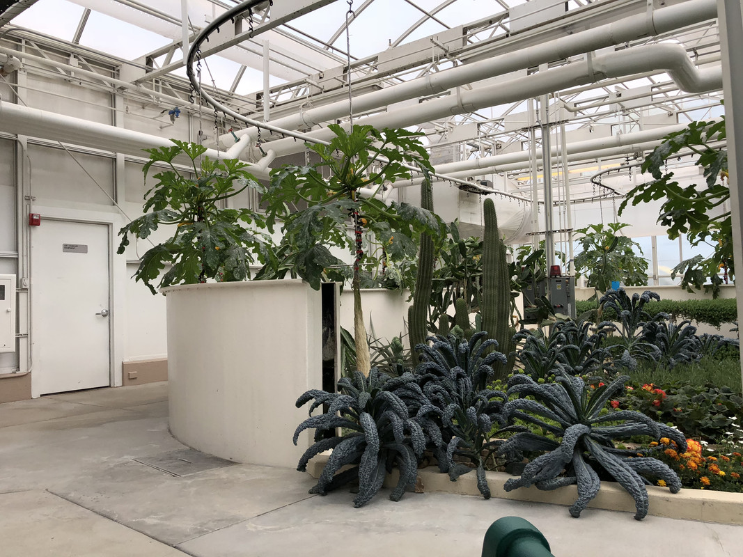 1A38DDF8-C968-40A4-AB02-796C155023CD