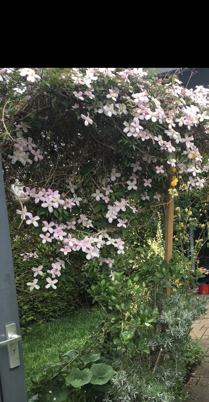 BA83A367-0F32-4FD3-A290-9437DAE36594