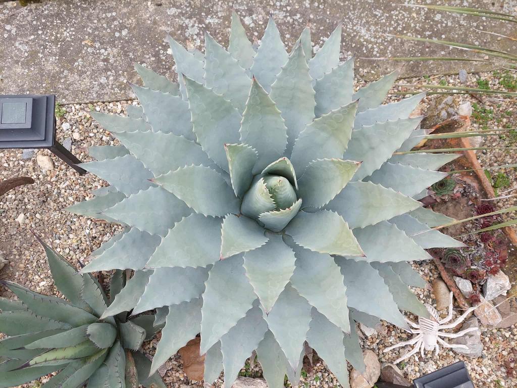 40d897c7 c9b7 4c93 b5c3 770436d100a2