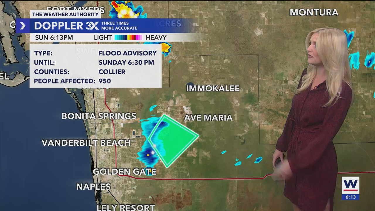 07.07 - 23.00.00 - WINK News at 6 00pm Saturday  ᴺᵉʷ. No Description ....ts_snapshot_19.22.141