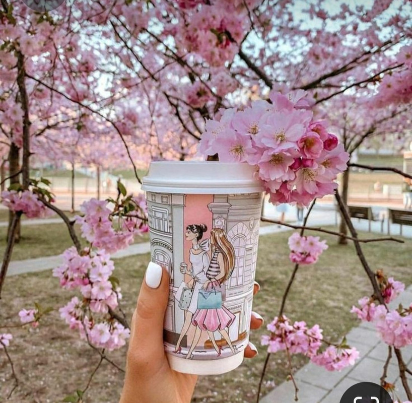 Screenshot_20231004_223146_Pinterest