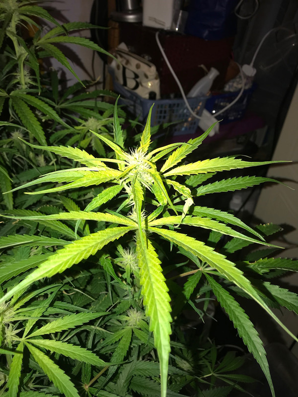 F89815D2-C7B2-4F3C-99FB-A6A23006BFC7