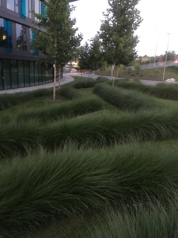 E1E9F3FF-0A76-4094-9E9F-24EC92D6C164