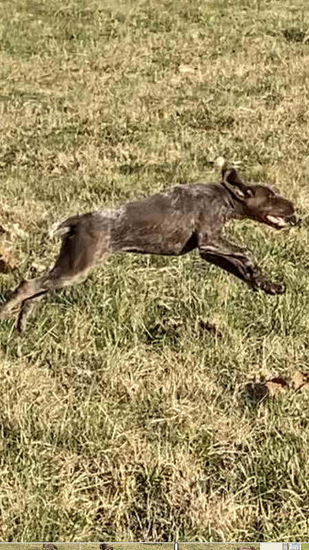 20996388-C850-4C94-85B7-87BF40EE8D31