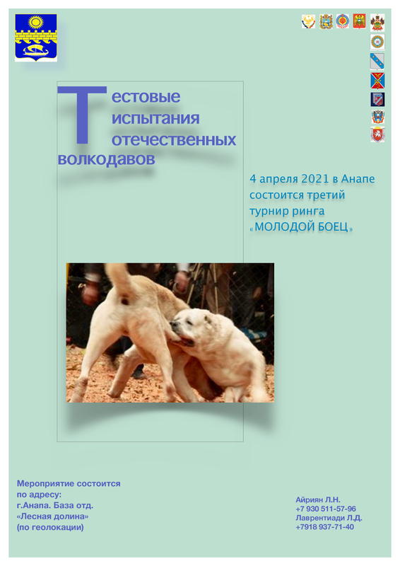 анонс турнира