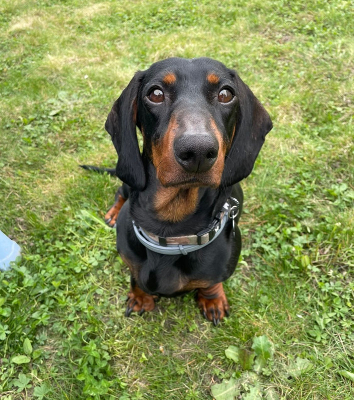 [Image: IMG-20240805-WA0025.jpg]