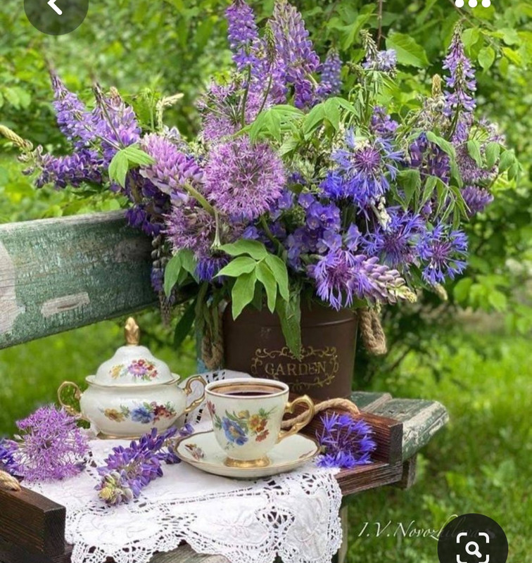 Screenshot_20230616_123556_Pinterest