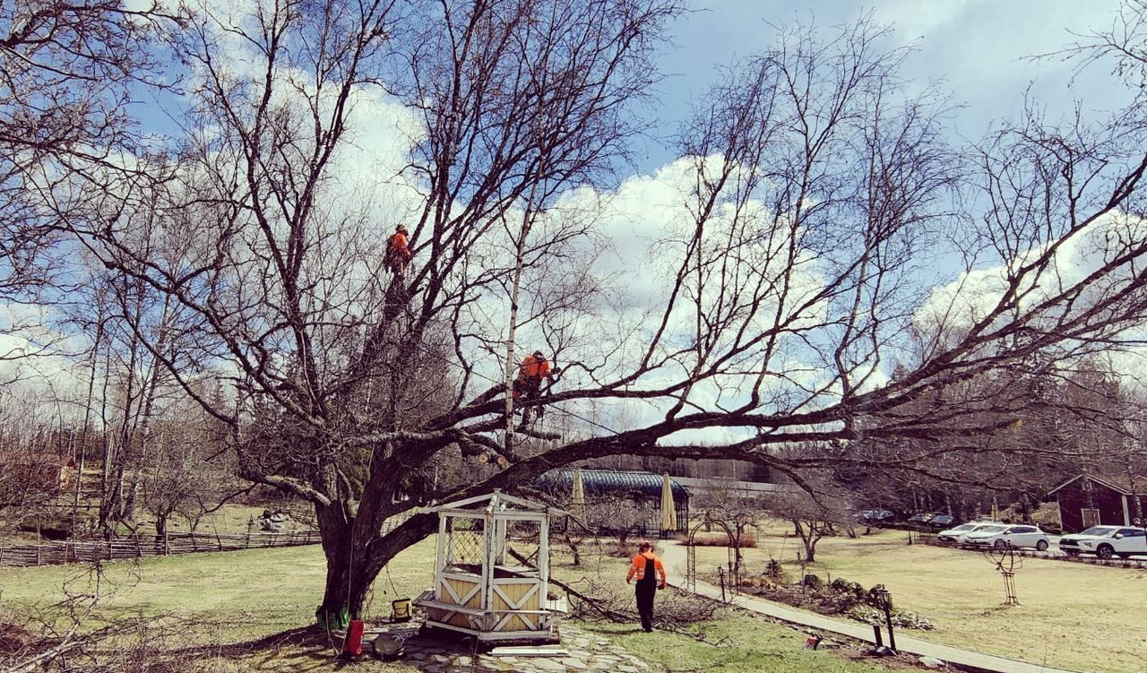 signal-2022-05-04-132708_001