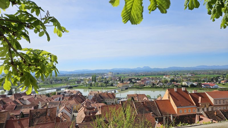 Slika