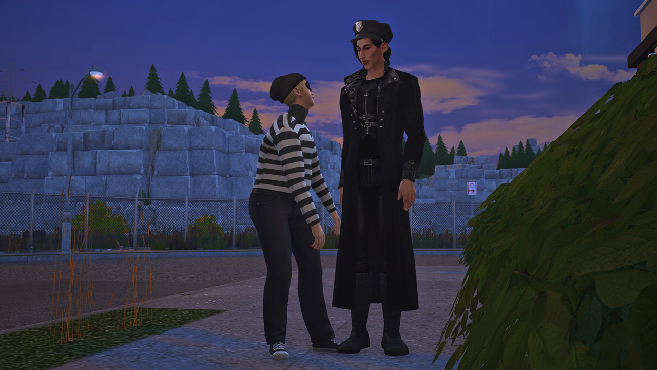 2025-08-24-01-08-43-332-preset-Wolves.jpg