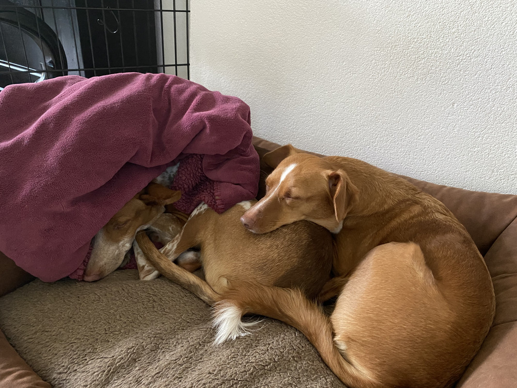 C88AEFDF-870A-474E-AB5E-5DC58F5DFAE0