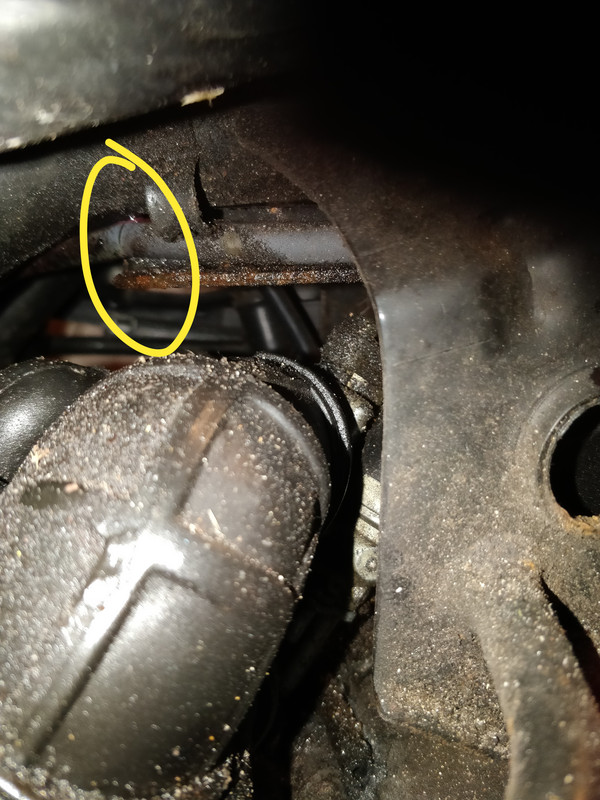 IMG_20181202_130814__01