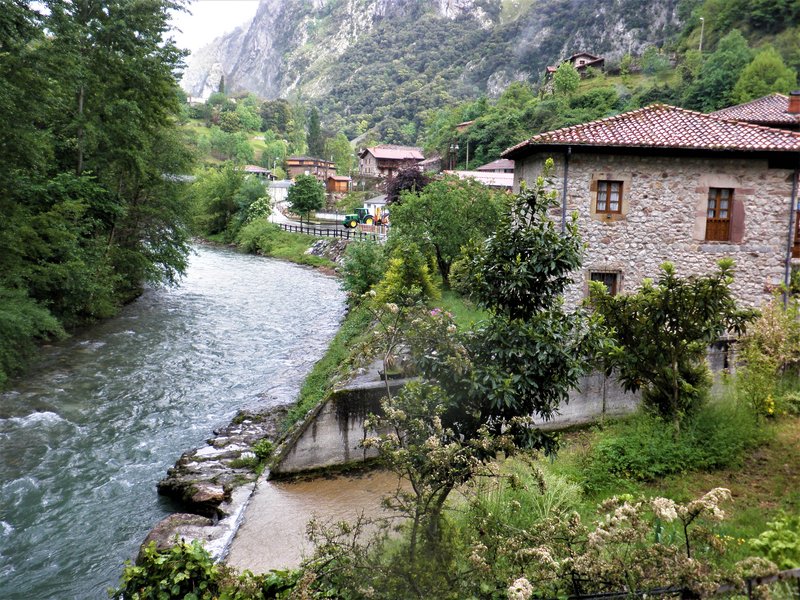 PICOS DE EUROPA-16-5-2013-LEON/ASTURIAS/CANTABRIA - Paseando por España-1991/2016 (77)