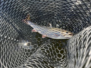 IMG_7888