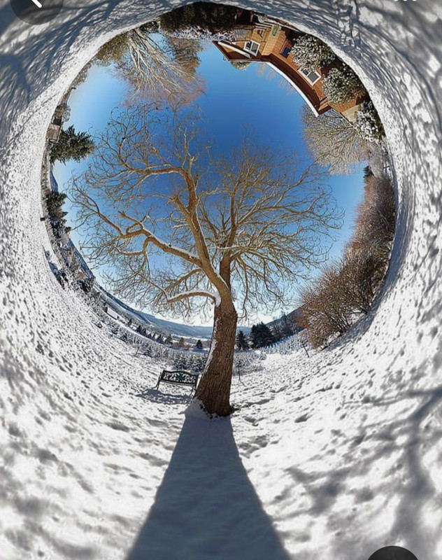 Screenshot_20231111_154049_Pinterest