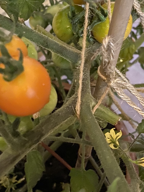 23FB0E3C-E055-4DE0-A833-BAC5ABA6CBB7