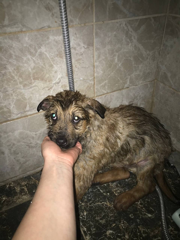 EBF26FCE-03E8-487D-A362-93DD1DE8D638