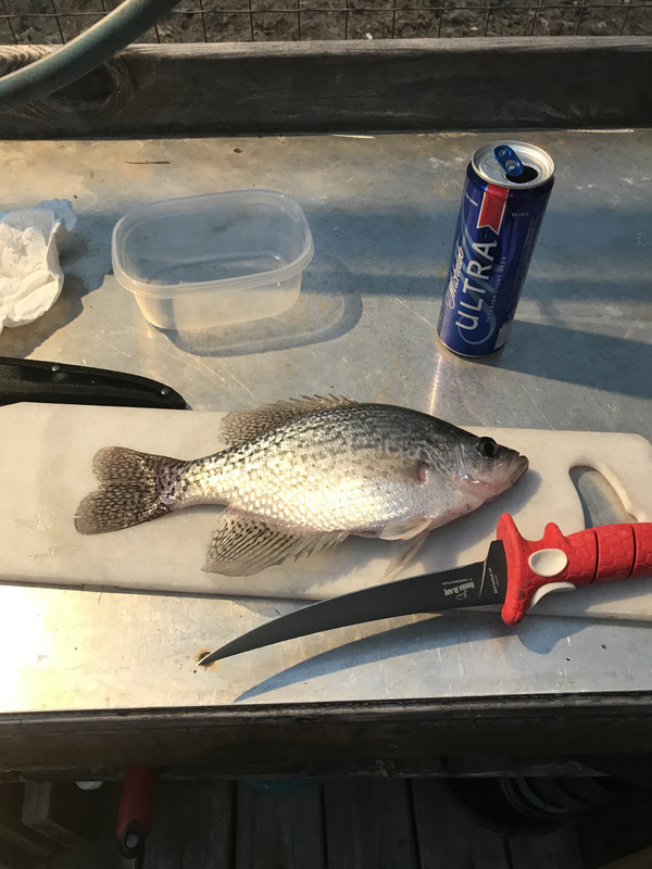 ABE411A6-D127-4DF5-A35A-7B6BB6D7569F