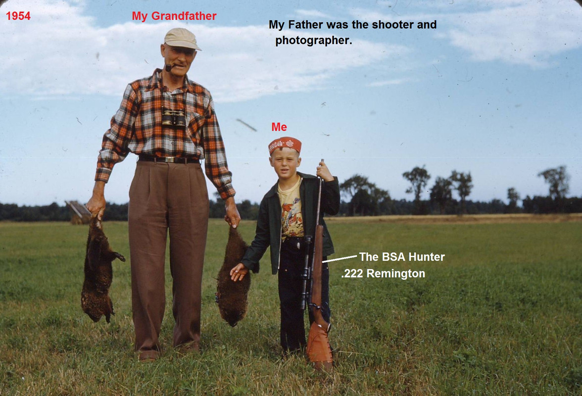 1954-bringing home the bacon