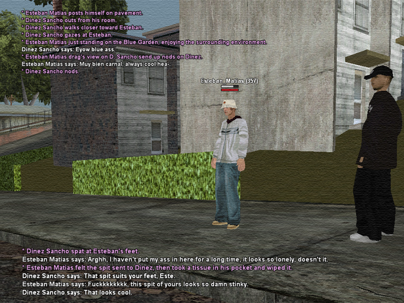 SSRoleplay01.png