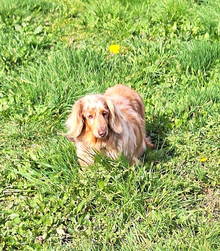 [Image: 20240316-115650.jpg]