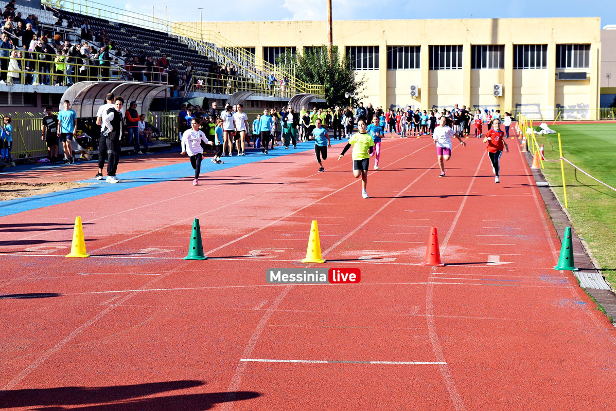 AKRITAS-STIVOSDSC-0322