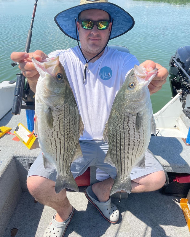 4CF8B345-AA49-4295-8D03-E225FB9CC005