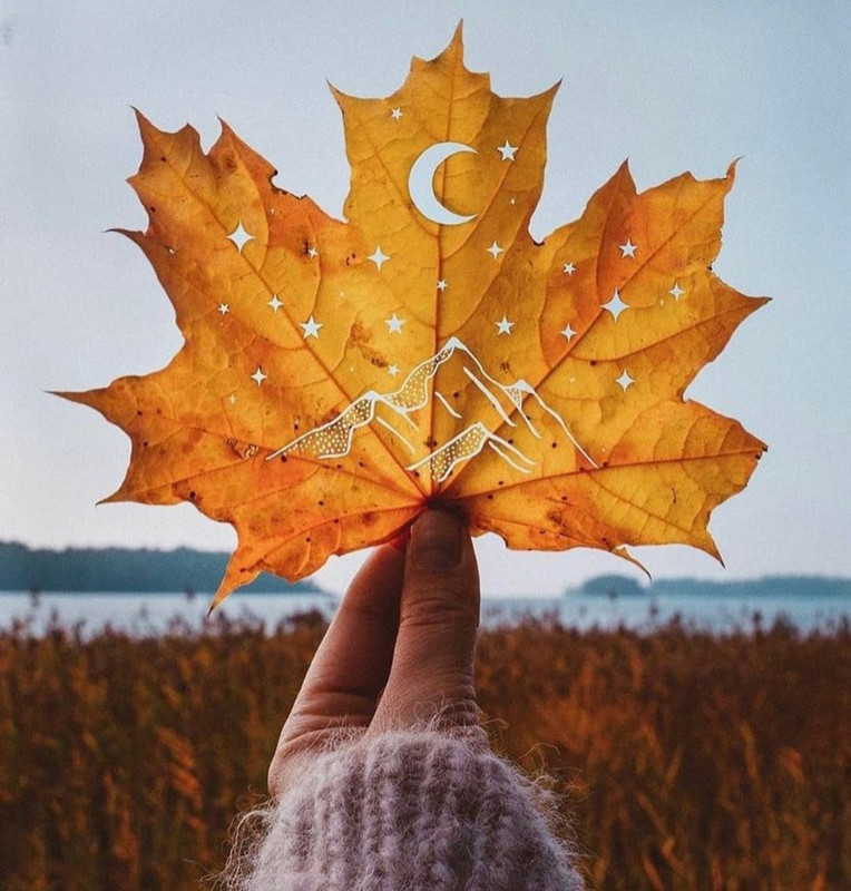 Screenshot_20231208_221750_Instagram