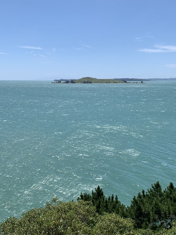 Nueva Zelanda: La primavera Kiwi nos fue marcando la ruta - Blogs de Nueva Zelanda - Auckland-Amsterdam...y fin del viaje (2)