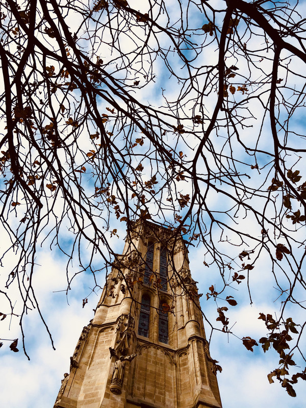 9817FA5D-60A2-4255-924C-B724CCB18B3A