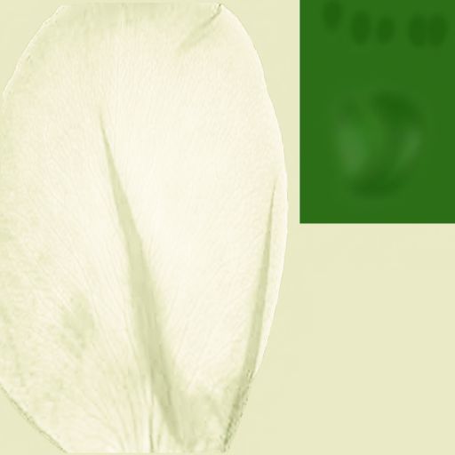 4c558089-894c-fcda-88d8-81ab36eeac80