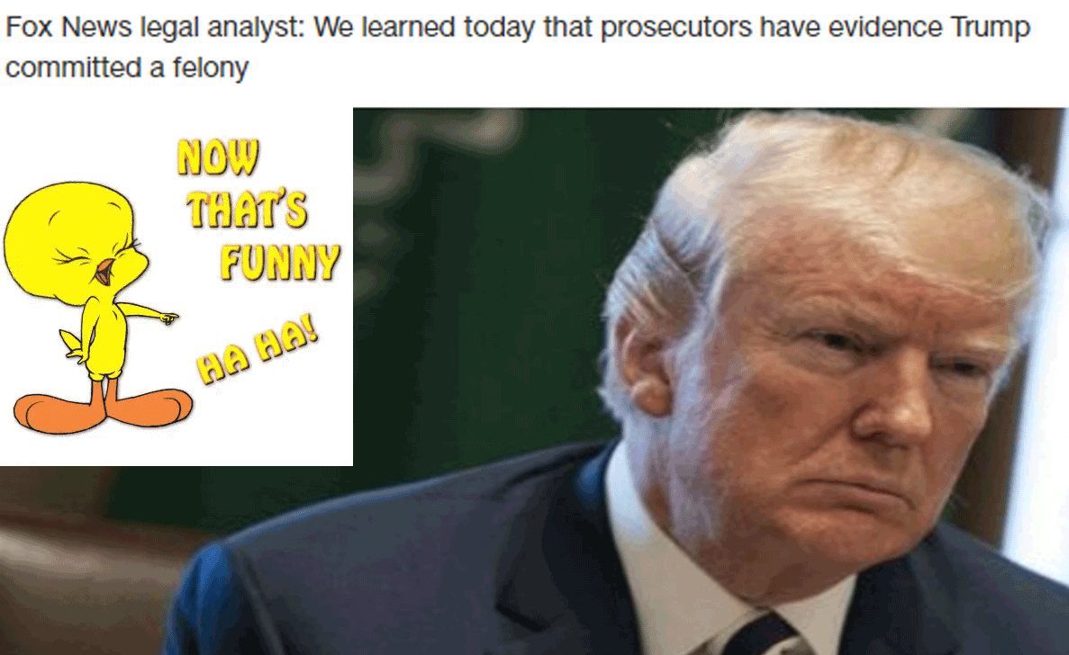 Drumpffoxfelony.gif