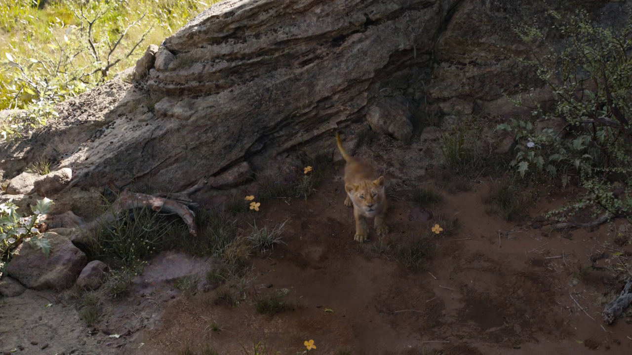 300mbunited.me--00016