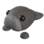 Dugong