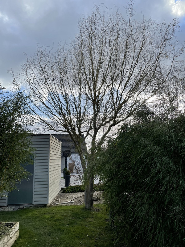 IMG 3225 — Postimages
