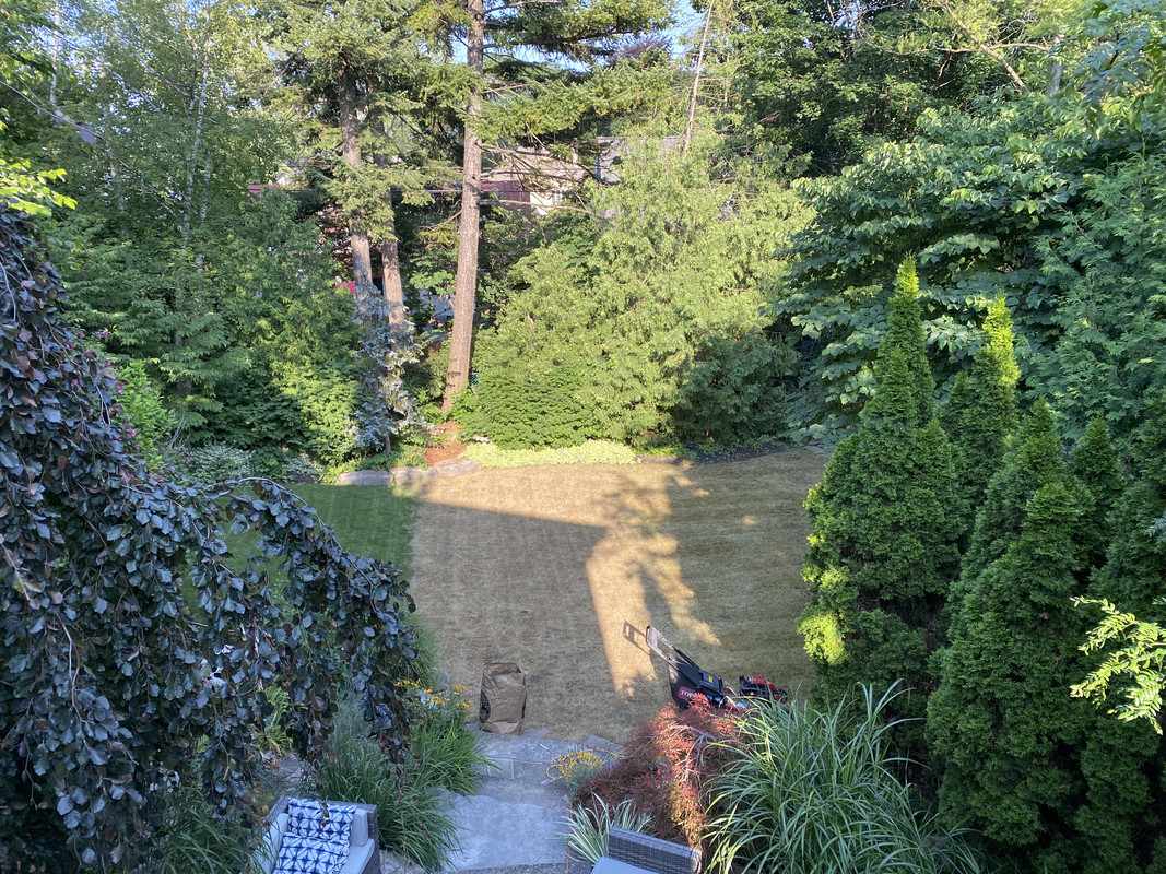 46BF47FD-9C51-44A7-8773-28519B9E2A97