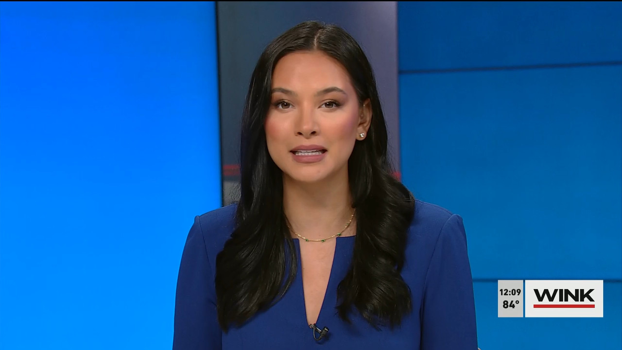 04.24 - 17.00.00 - The WINK Noon News  ᴺᵉʷ. Midday news update..ts_snapshot_15.11.439