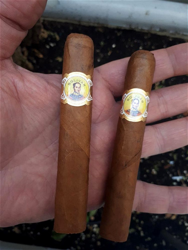 49651176251_f4b0c4e200_o