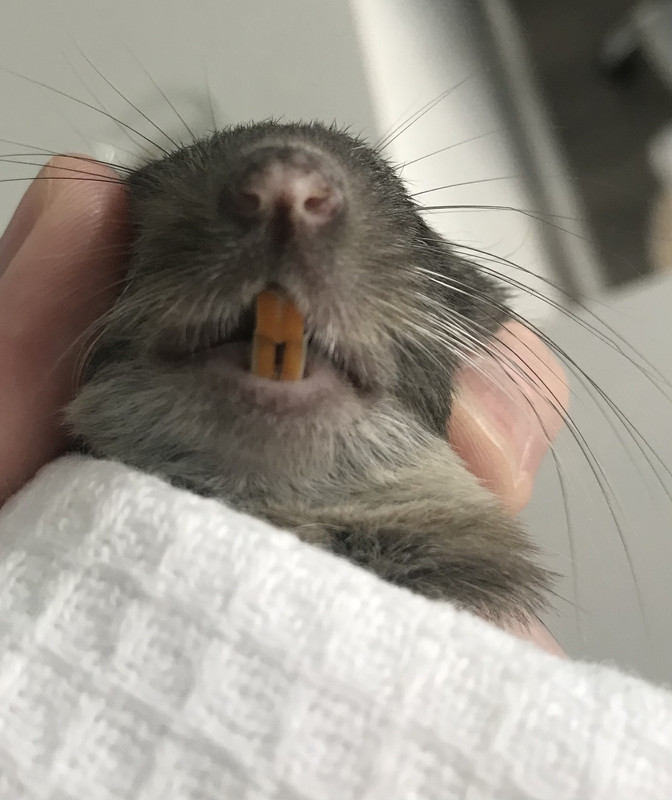 3588F030-8040-4050-9BD6-A89DB5E83B40