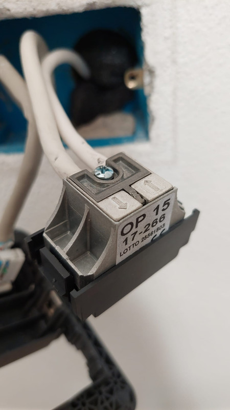 WhatsApp Image 2022-04-10 at 11.45.36 (7)