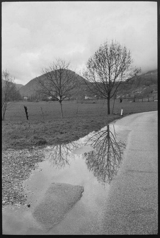 Leica M2_05 apr 2022_04 (689x1024)